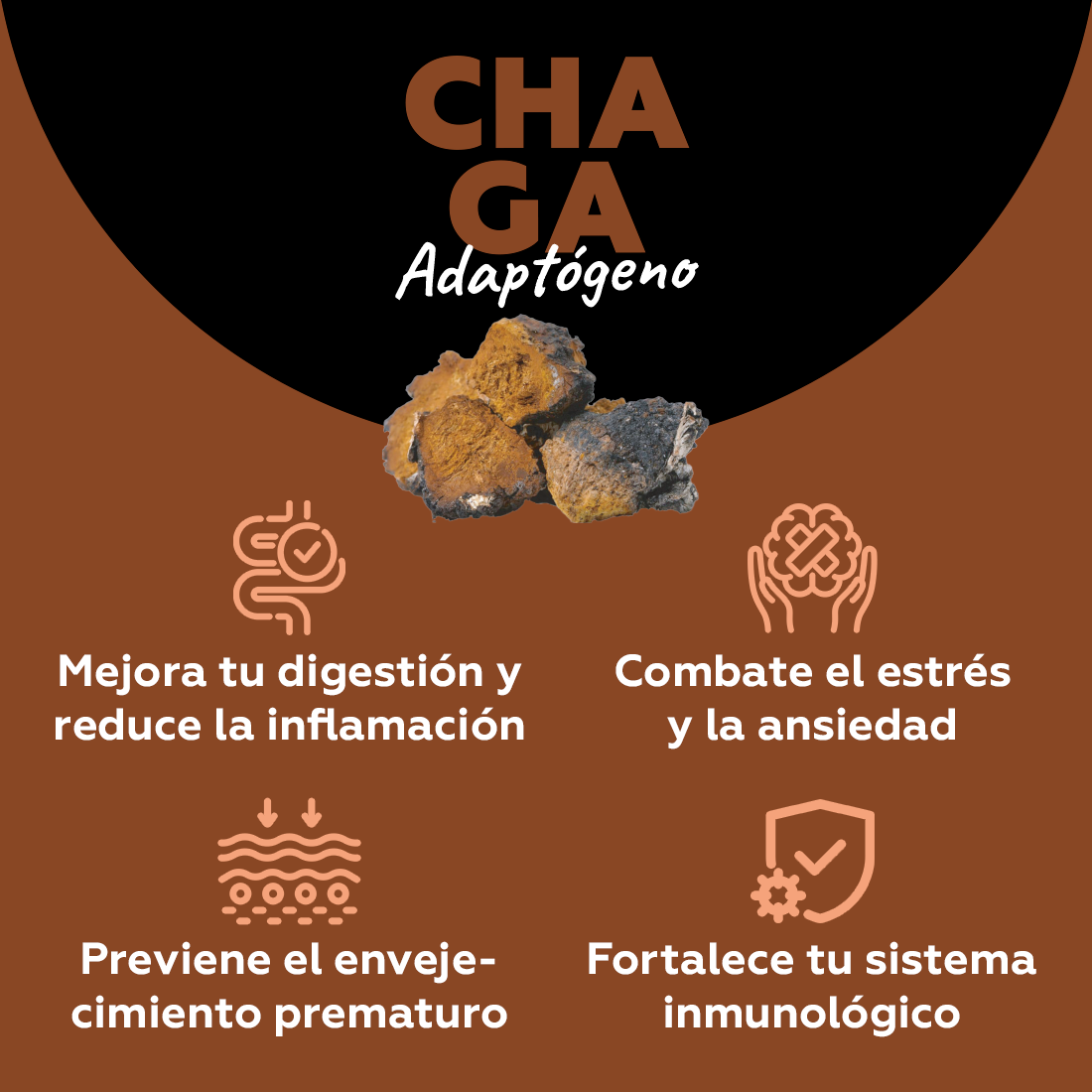 Chaga - Adaptógeno (digestión & relajación) 100 cápsulas