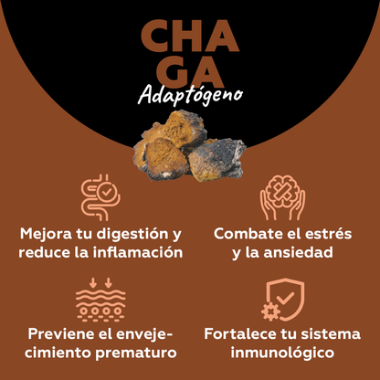 Chaga - Adaptógeno (digestión & relajación) 100 cápsulas