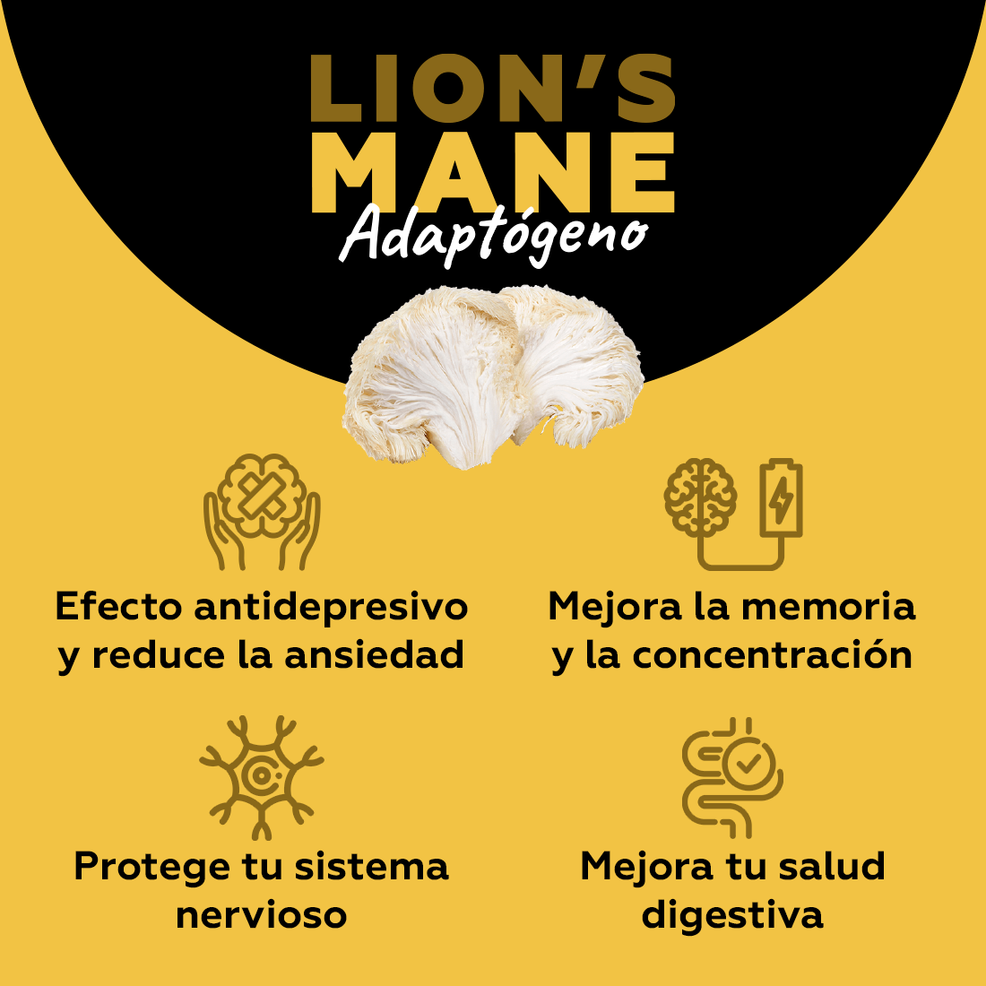 Lion's Mane - Adaptógeno (concentración) 100 Cápsulas