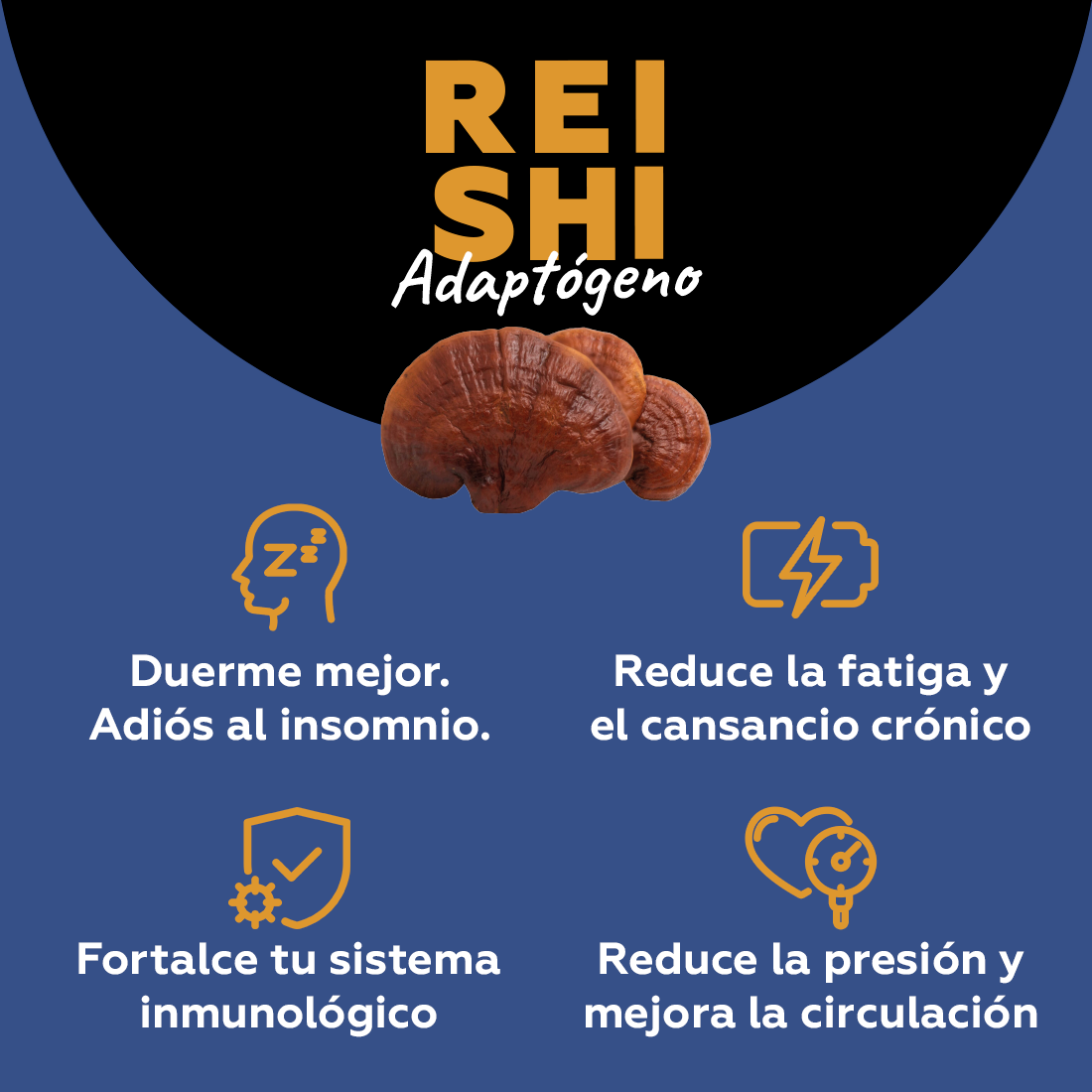Reishi - Adaptógeno (antiestrés y longevidad) 100 cápsula