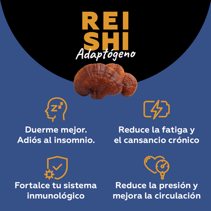 Reishi - Adaptógeno (antiestrés y longevidad) 100 cápsula